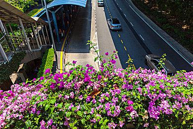 《沙漠大冒险》媒体评分解禁 IGN和GS双6分